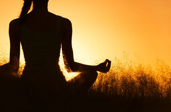 Letní jógové akce 2025 - Yogasana